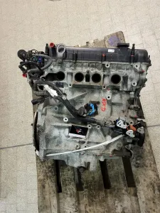 Focus C-Max